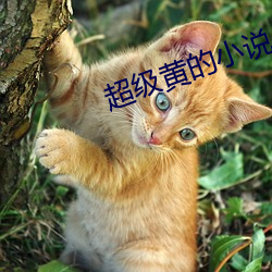 尊龙凯时-人生就是搏!