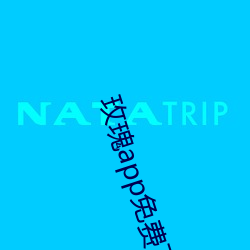 玫瑰app免费下载