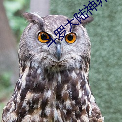 斗罗大陆神界传说