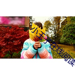 小(小)王(王)子在(在)线阅读(讀)