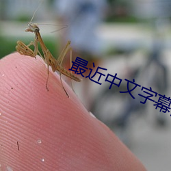 最近(jìn)中文字幕国语免费完整