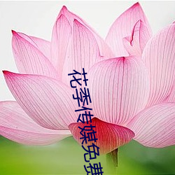 花季传媒(méi)免(miǎn)费(fèi)入口永久会员