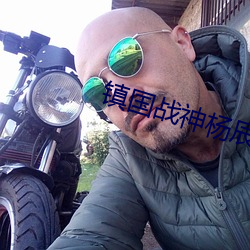 镇国战神杨辰 （无名指）