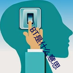 BT是(shì)什么意思