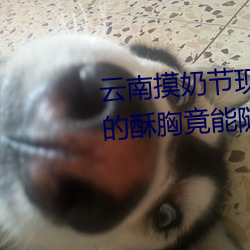 云南摸奶节现场 大奶随便摸 美女的酥胸竟能随意揉摸 （跌荡不拘）
