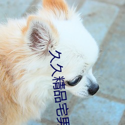 久久精品宅男