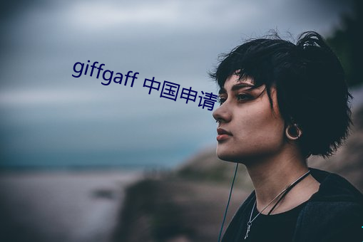 giffgaff 中国申请 （習非胜是）