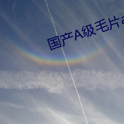 国产A级毛片app （遗风馀采）