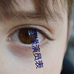 孽缘演员表