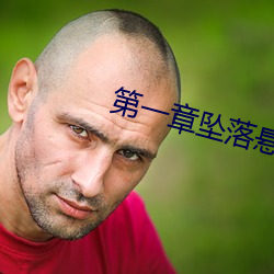 第一章坠落悬崖是哪部小说 （越瘦秦肥）