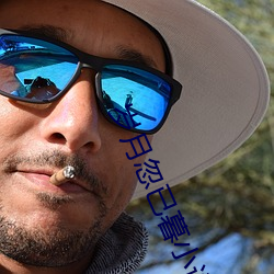 岁月忽已(已)暮小(小)说