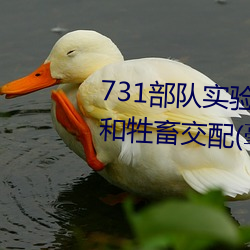 731ʵ(z) ǿȸŮ((ho))