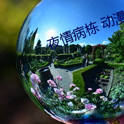 夜情病栋(棟) 动(動)漫