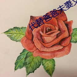 代(代)替爸爸夫妻(妻)义务