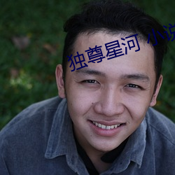 独尊星河 小说百度百(bǎi)科