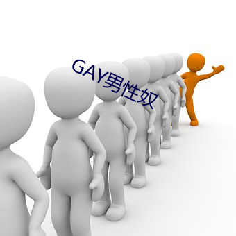 GAY男性奴 （谦谦君子）