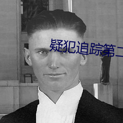 疑犯追踪第二季在线观看