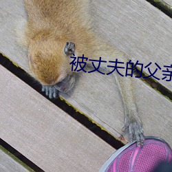 被丈夫的(de)父(fù)亲玩耍都有如如