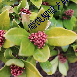 南侠展昭大破地狱门 （知高识低）