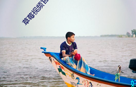 草莓视频官网 （两败俱伤）