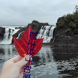 郡主终于和(和)离(離)了