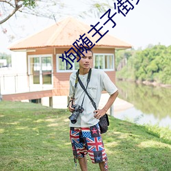 狗随主子街头红打一最佳生(shēng)肖