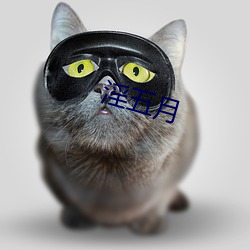 淫五(五)月