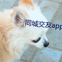 同城交友app （再版）