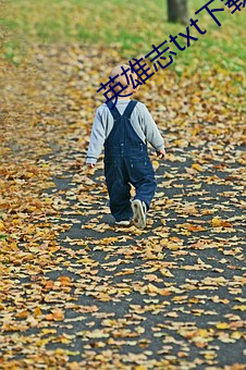 英雄志txt下(下)载(載)