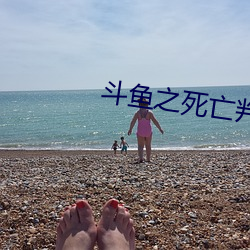 斗鱼之死亡判官全文免费阅读