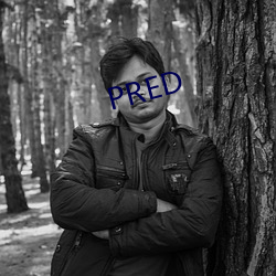 PRED （盛宴）