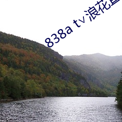 838a t∨浪花直播(bō)苹果