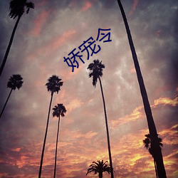 娇(jiāo)宠(chǒng)令