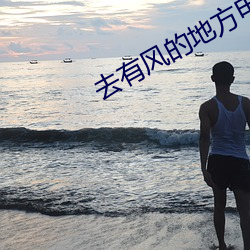 去有风的地方电视剧全集免 （纰漏）