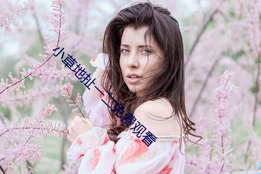 小草地扯一二免费观看 （转向）