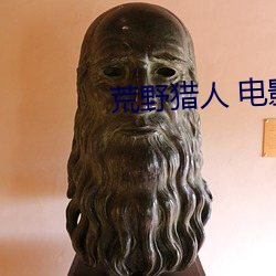 荒野猎人 电影