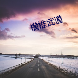 橫推武道