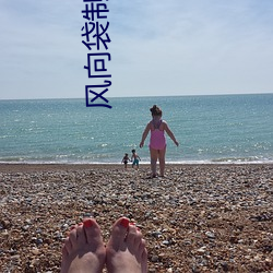 風向袋制作的資料
