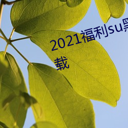 2021福利su黑料正能量入口大下载