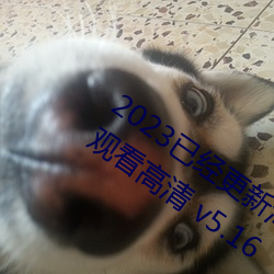 2023已(已)经(經)更新(新)海盗(盜)2塔斯(斯)尼帝复仇2在线观看高清 v5.16