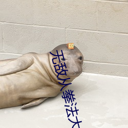 無敵從拳法大成開始
