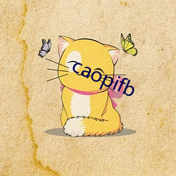 caopifb （货票）