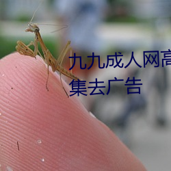 九九成(chéng)人网高清免费在(zài)线观看全集去广告