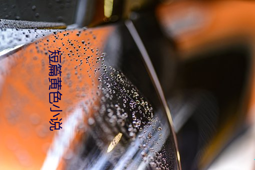 短篇(piān)黄色(sè)小(xiǎo)说