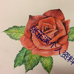 張芷溪個人資料