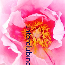 Interclubindo.com) （归真反璞）