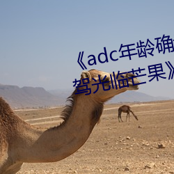 《adc年龄确认十八岁欢迎您的大驾光临芒果》在线观看 （小本经营）
