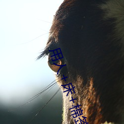用人(人)+床+棉签(簽)+冰块(塊)+夹子牛(牛)奶加速(速)健(健)康(康)改变(變)
