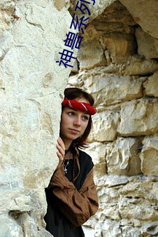 神兽系列(liè)之藏獒(áo)情雨婷