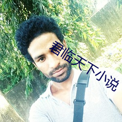 君临天下小说(說)